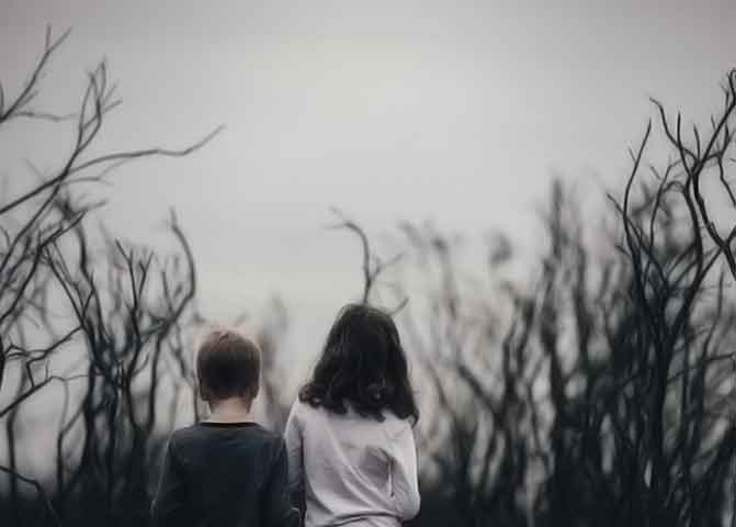 软件商店正版的器测压文章